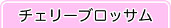 チェリーブロッサム